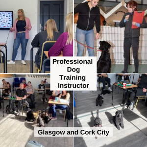 Professional Dog Training Instructor Programme January 2024