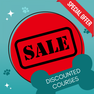 Online Courses Flash Sale