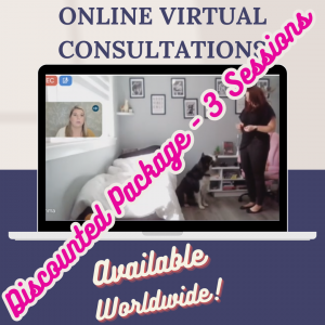 3 x Online Consultation Session with Nanci Creedon M.Sc.