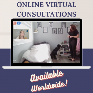 Online Consultation Session with Nanci Creedon M.Sc.
