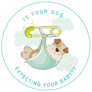 Is Your Dog Expecting Your Baby?