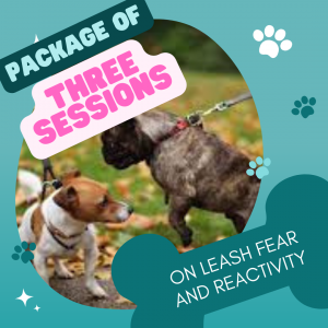 3 x On Leash Fear / Reactivity Sessions with Nanci Creedon M.Sc.